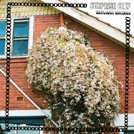 Виниловая пластинка Surprise Chef - Dayling Savings [New Vinyl LP]