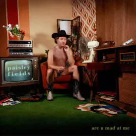 Виниловая пластинка Paisley Fields – Are U Mad At Me Релиз 2026