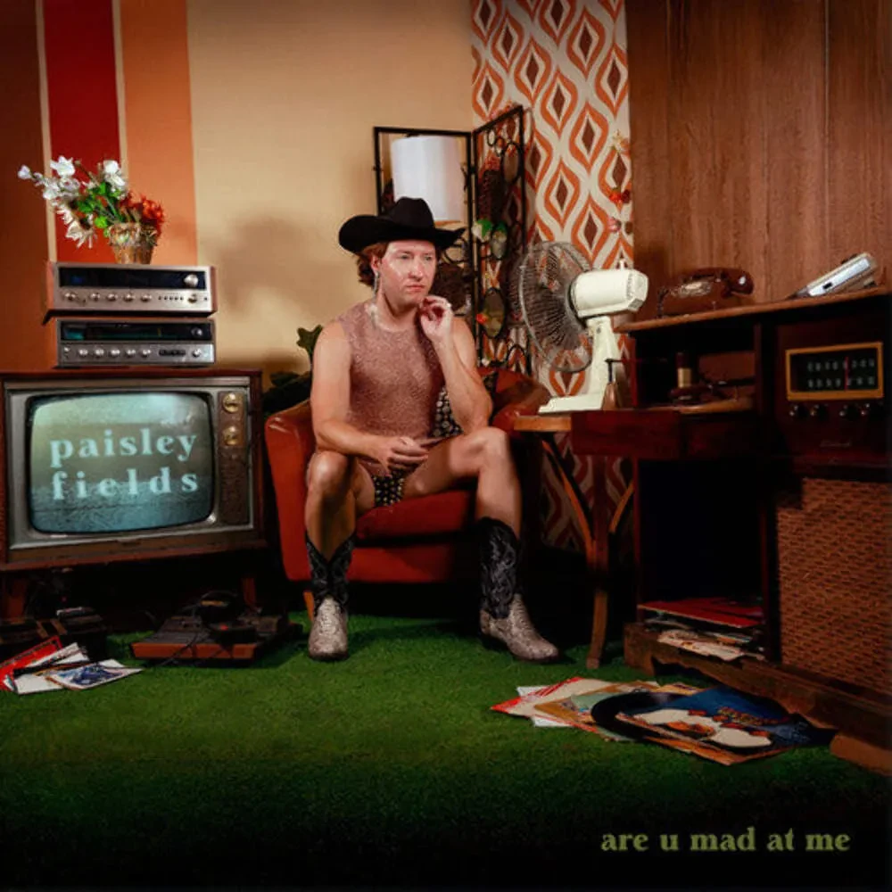 Виниловая пластинка Paisley Fields – Are U Mad At Me Релиз 2026