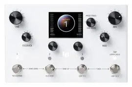 MERIS Modular Delay System / Looper