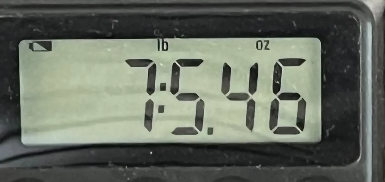 Изображение №3