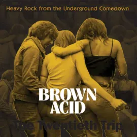 Виниловая пластинка Various – Brown Acid: The Twentieth Trip (Релиз 2025)