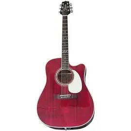 Электроакустическая гитара Takamine JJ325SRC John Jorgenson Signature