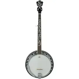 Банджо Ibanez B300 5-String Banjo with Rosewood Resonator