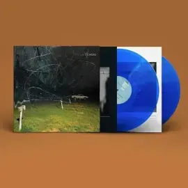 Виниловая пластинка Yo La Tengo – This Stupid World (Релиз 2023)