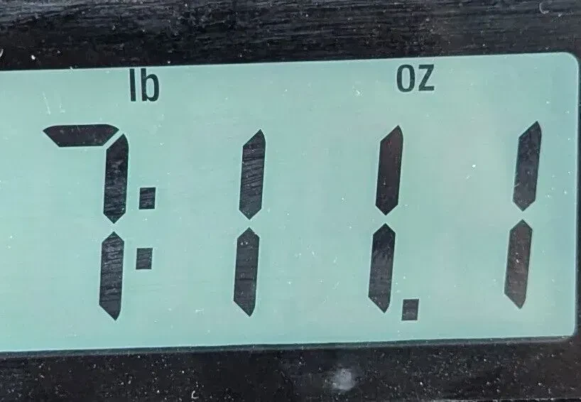 Изображение №9