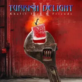 Виниловая пластинка Various Artists - Turkish Delight Volume Three (Various Artists) [New Vinyl LP]