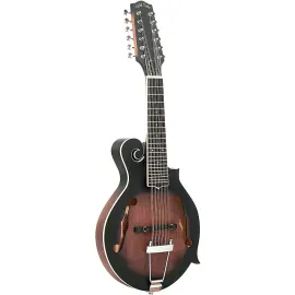 Мандолина Gold Tone F12 12-струнная F-Style, со звукоснимателем, Tobacco Sunburst