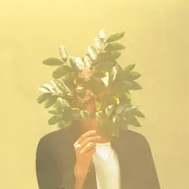 Виниловая пластинка French Kiwi Juice - French Kiwi Juice [New Vinyl LP]