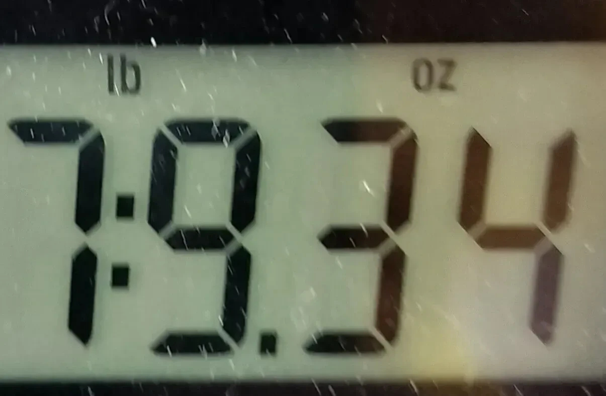 Изображение №9