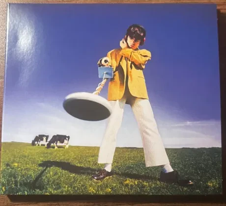 DECLAN MCKENNA - What Happened To The Beach? (CD)