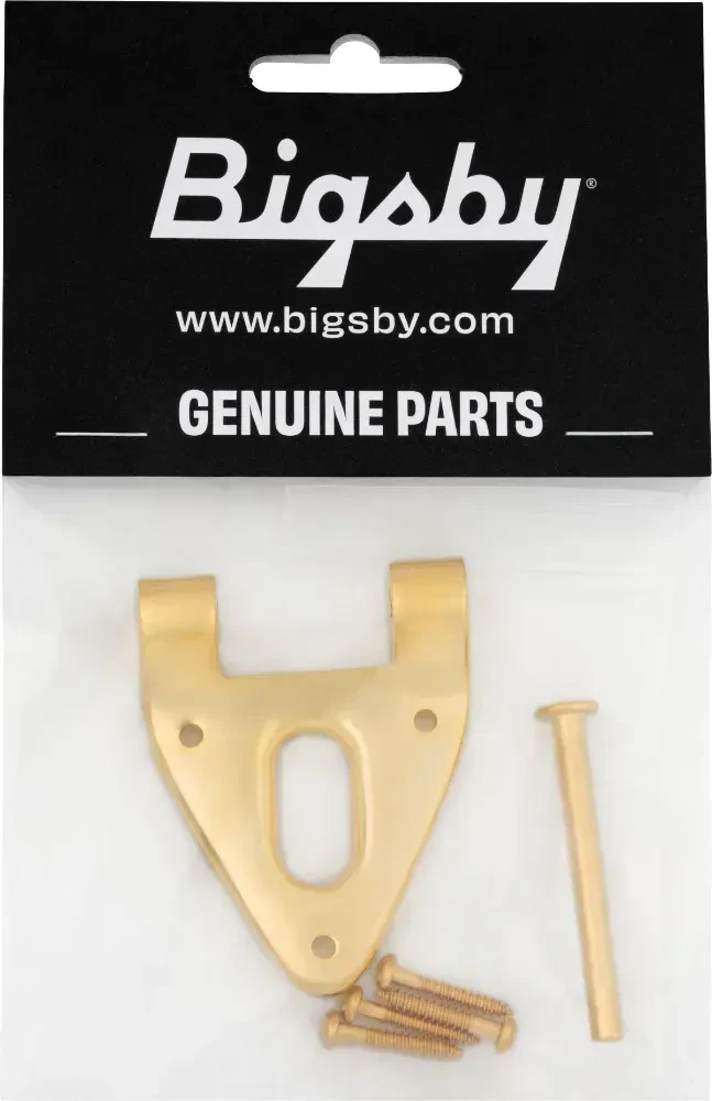 Струнодержатель для электрогитары Bigsby Conventional Hinge золотой, с штифтом и винтами