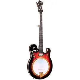Электробанджо Gold Tone EBM-5 Electric Solidbody 5-String Banjo For Left Hand Players Sunburst