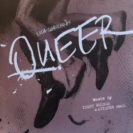 Виниловая пластинка Trent Reznor / Atticus Ross – Queer