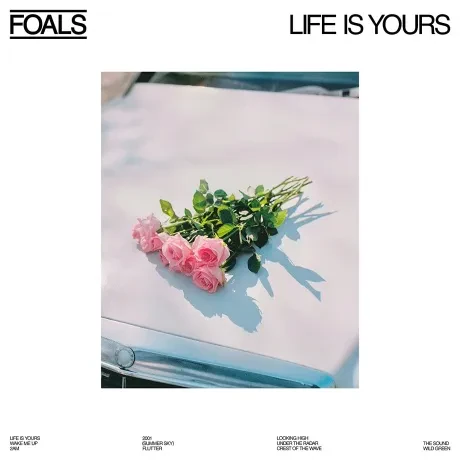 Виниловая пластинка Foals – Life Is Yours