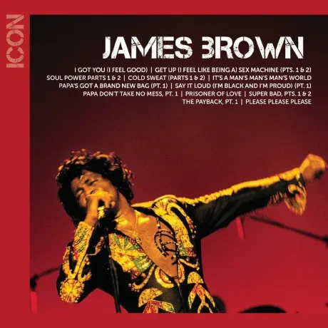 JAMES BROWN - Icon (CD)