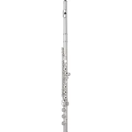 Флейта Wm. S Haynes Amadeus AF580-BO Flute