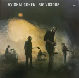 Виниловая пластинка Avishai Cohen – Big Vicious