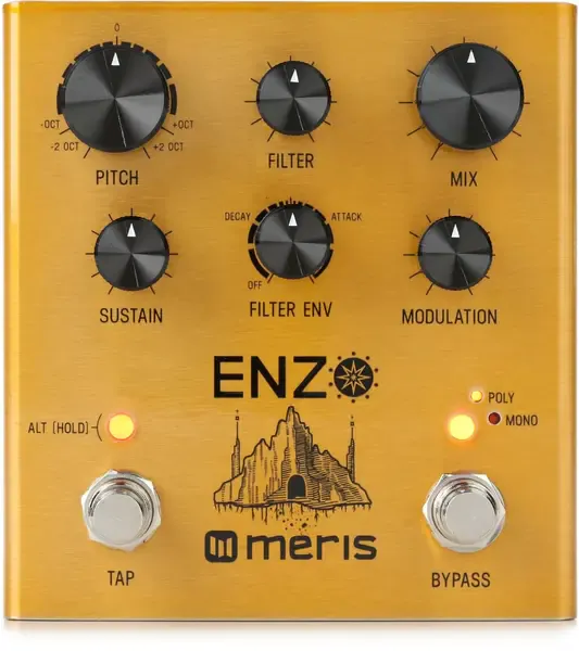 Педаль эффектов для электрогитары Meris Enzo Multi-Voice Instrument Synthesizer Pedal