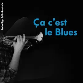 Виниловая пластинка Fsk (Freiwillige Selbstkontrolle) – Ca C'est Le Blues (Релиз 2026)