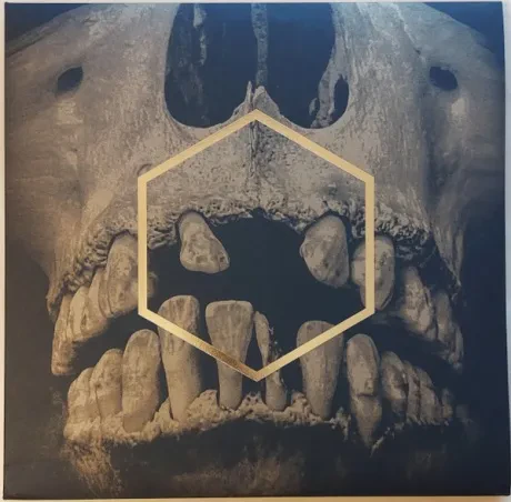 Виниловая пластинка Lustmord – The Others (3LP)