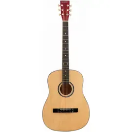 Акустическая гитара DaVinci DF-70A NA
