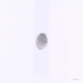 Виниловая пластинка Tobias Jesso Jr. – Shine (Релиз 2026)