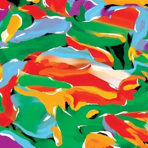 Виниловая пластинка Auntie Flo - Birds Of Paradise [New Vinyl LP]