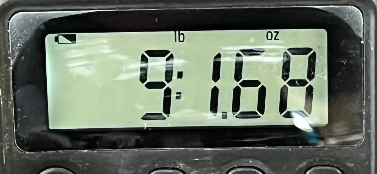 Изображение №10