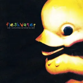 Fleshwater - We're Not Here To Be Loved NEW Vinyl