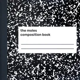 Виниловая пластинка Moles – Composition Book Релиз 2025