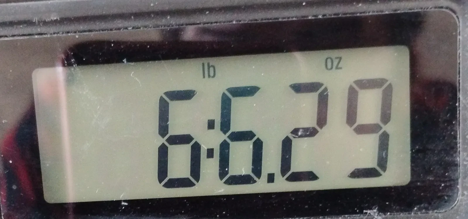 Изображение №8