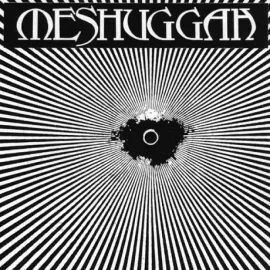 Виниловая пластинка Meshuggah – Meshuggah