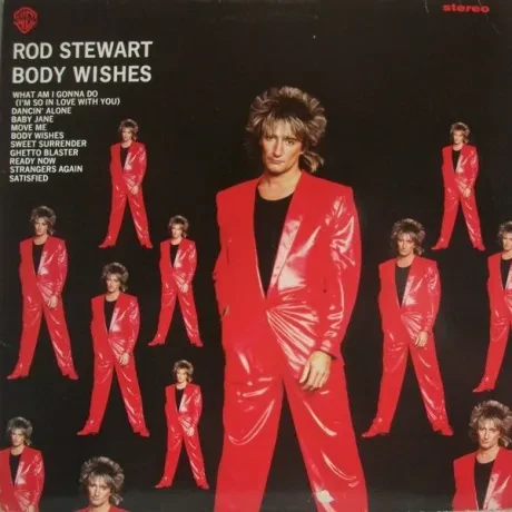 ROD STEWART - Body Wishes (LP , Used)