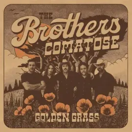 Виниловая пластинка The Brothers Comatos - Golden Grass - Splattered Orange & Blue [New Vinyl LP] Co