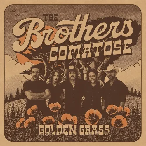 Виниловая пластинка The Brothers Comatos - Golden Grass - Splattered Orange & Blue [New Vinyl LP] Co