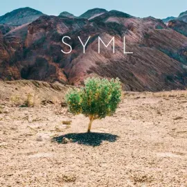 Виниловая пластинка Syml - In My Body [New Vinyl LP]
