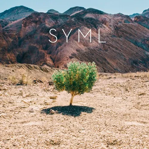 Виниловая пластинка Syml - In My Body [New Vinyl LP]