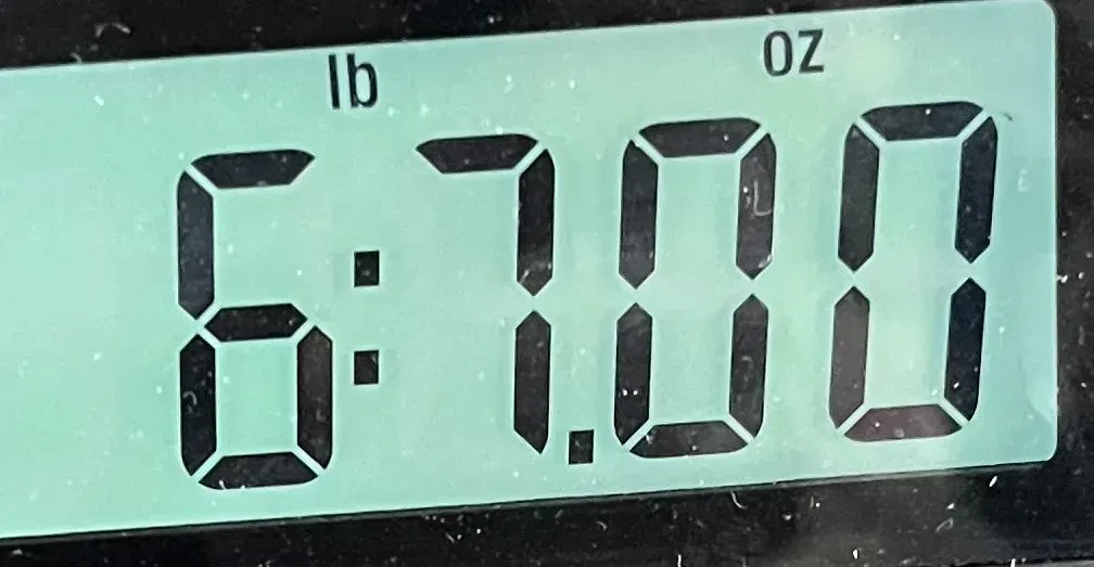 Изображение №10