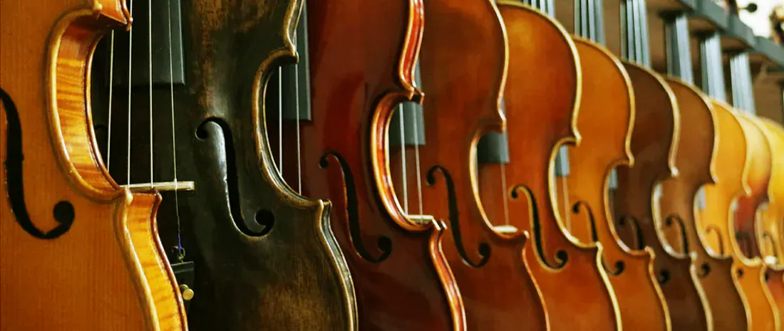 Как выбрать скрипку?