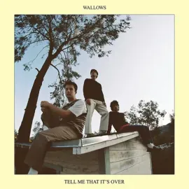 Виниловая пластинка Wallows – Tell Me That It's Over (Релиз 2022) Sealed