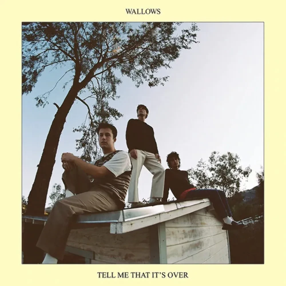 Виниловая пластинка Wallows – Tell Me That It's Over (Релиз 2022) Sealed