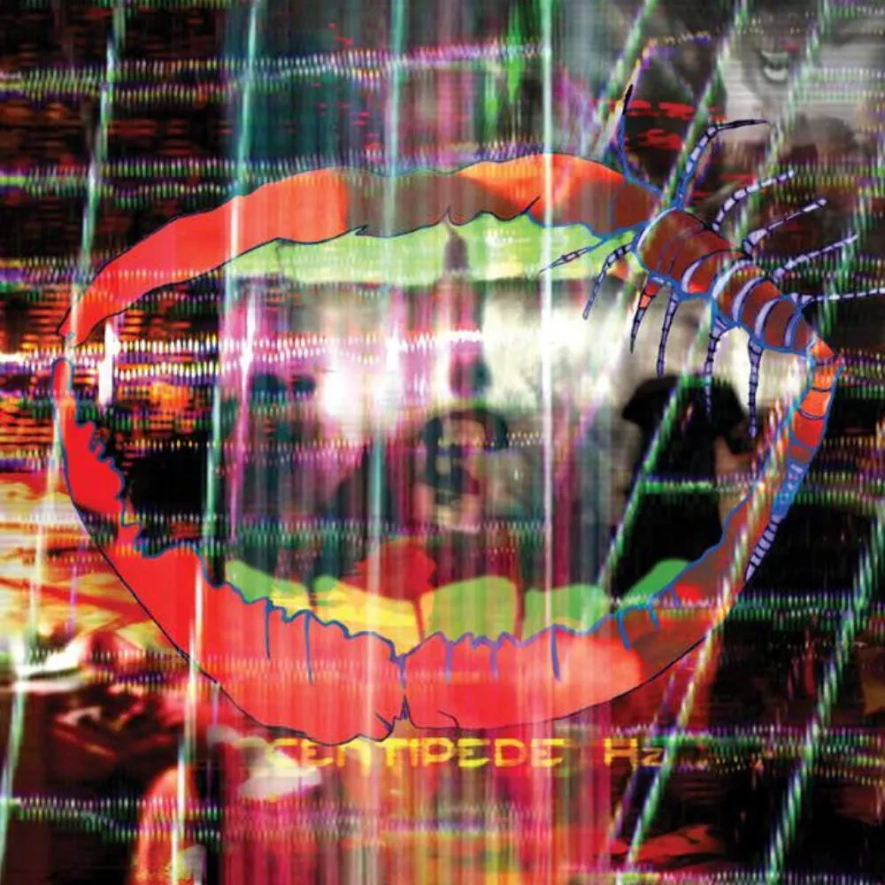 Виниловая пластинка Animal Collective – Centipede Hz Sealed