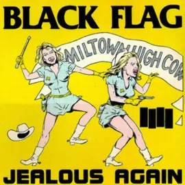 Виниловая пластинка Black Flag – Jealous Again