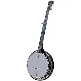 Банджо Deering Artisan Goodtime Special 5-String Resonator Banjo Natural