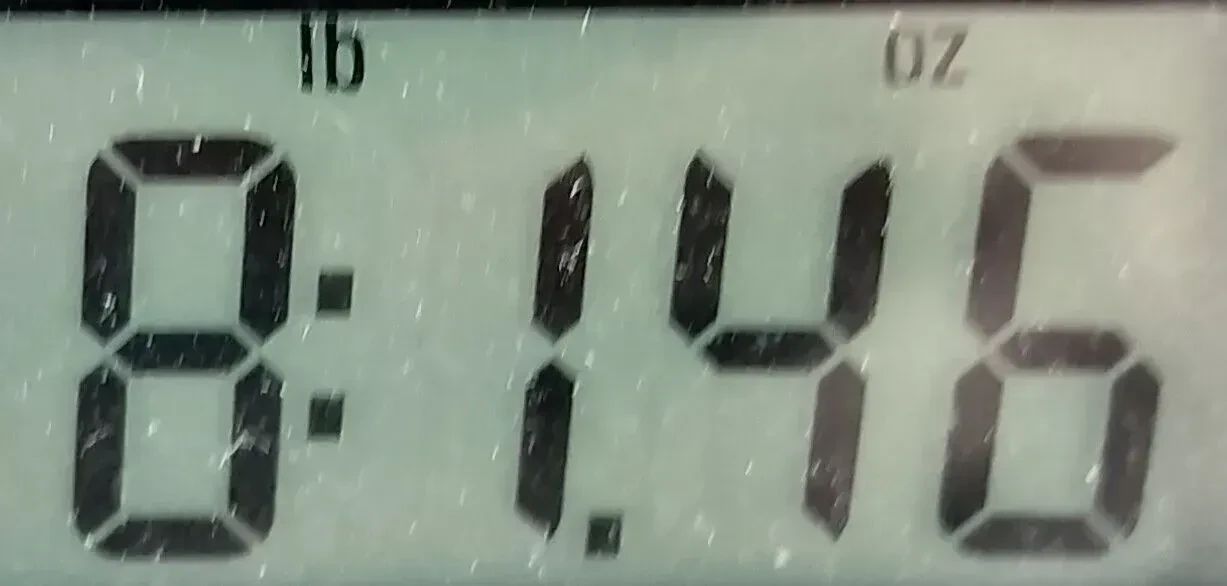 Изображение №9