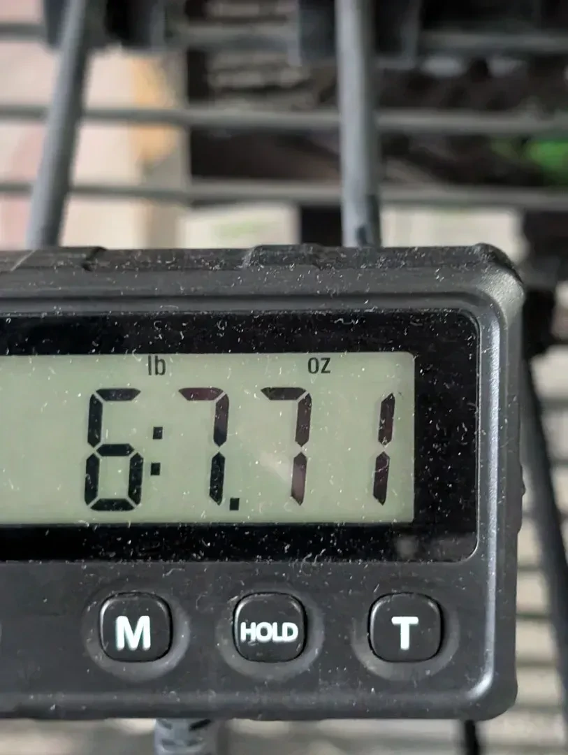 Изображение №9