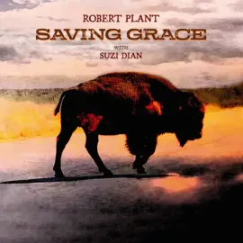 Виниловая пластинка Robert Plant - Saving Grace NEW Vinyl