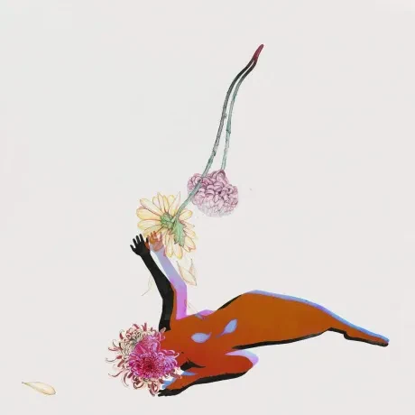 FUTURE ISLANDS - The Far Field (CD)