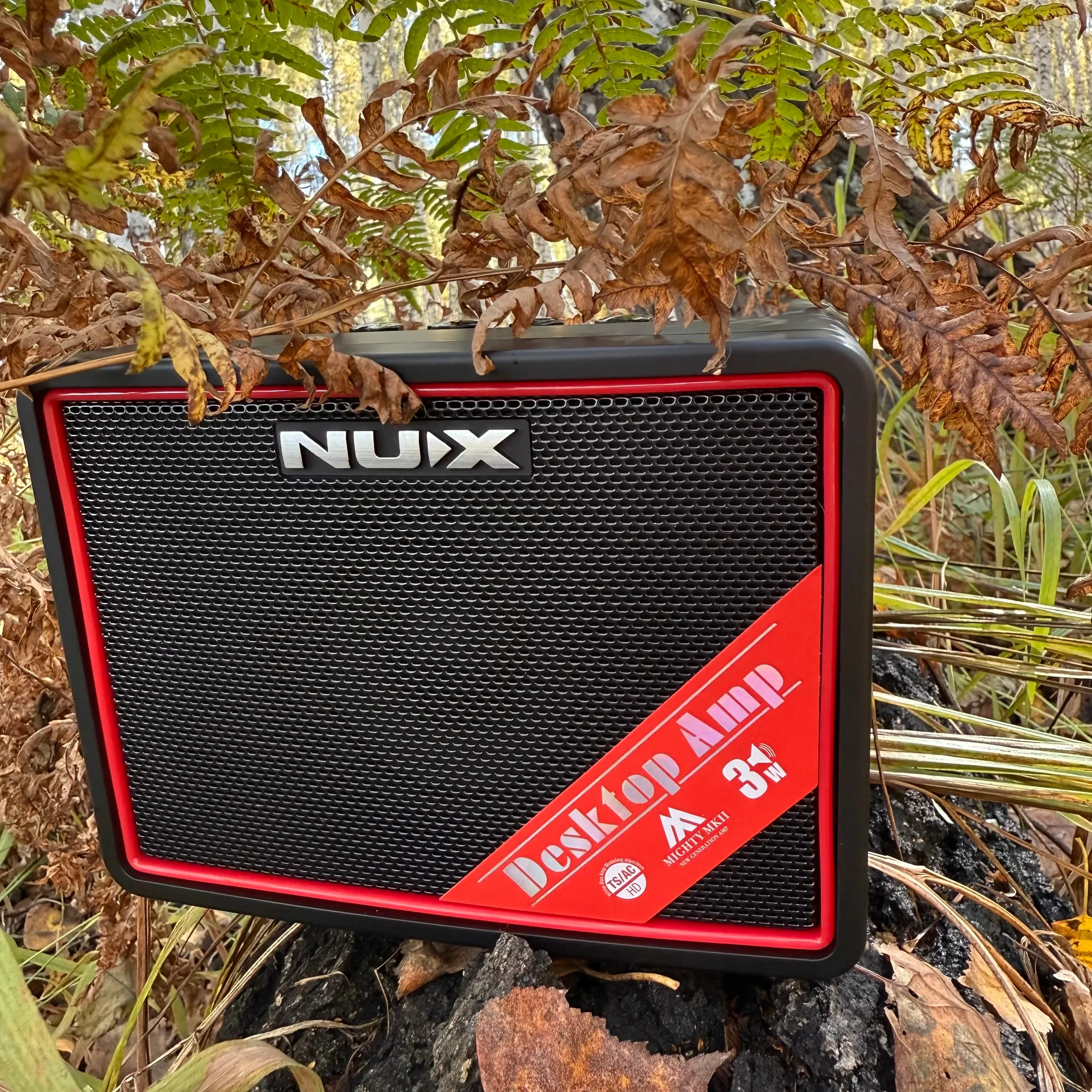 Изображение №7